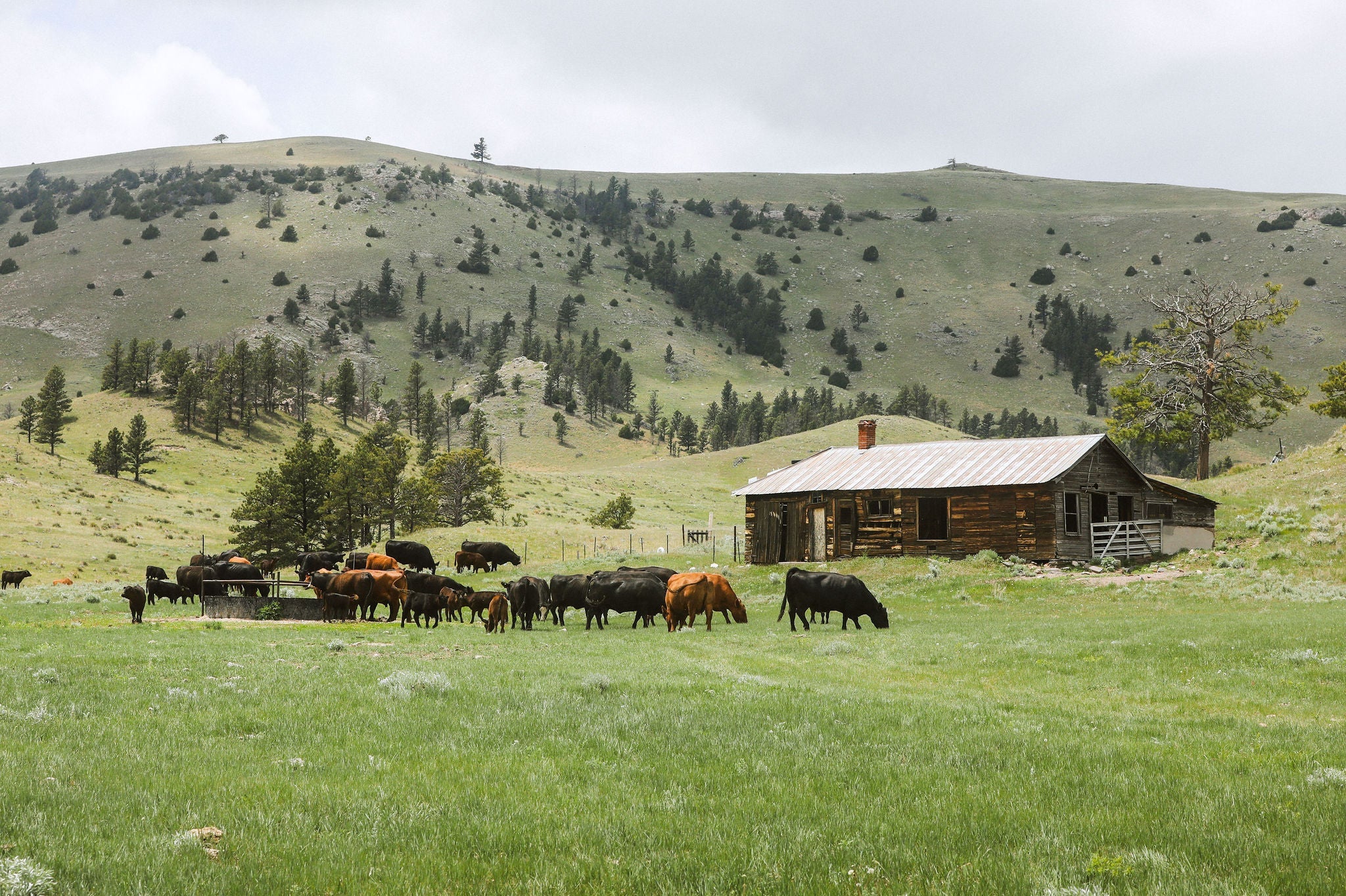 All Products