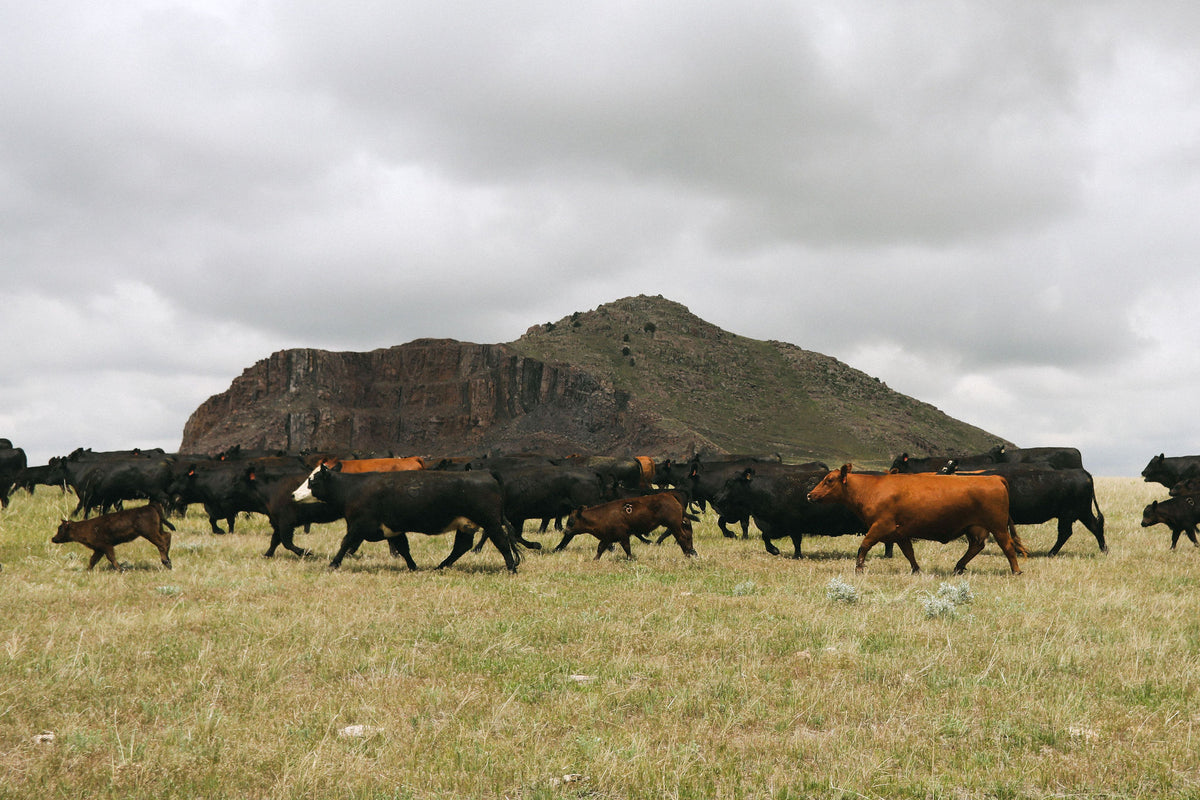 Meriwether Farms | Experience the flavor of Wyoming – MERIWETHER FARMS