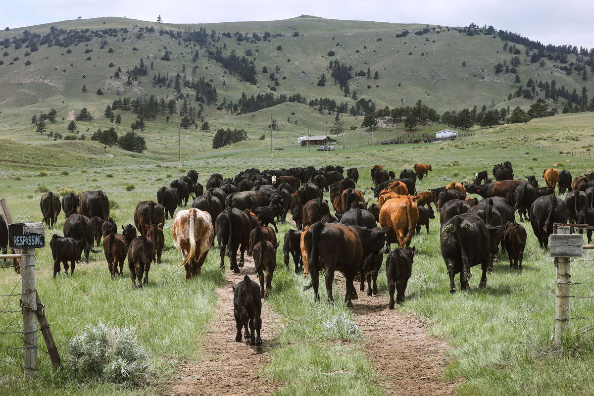 Agf Meriwether About Us – MERIWETHER FARMS
