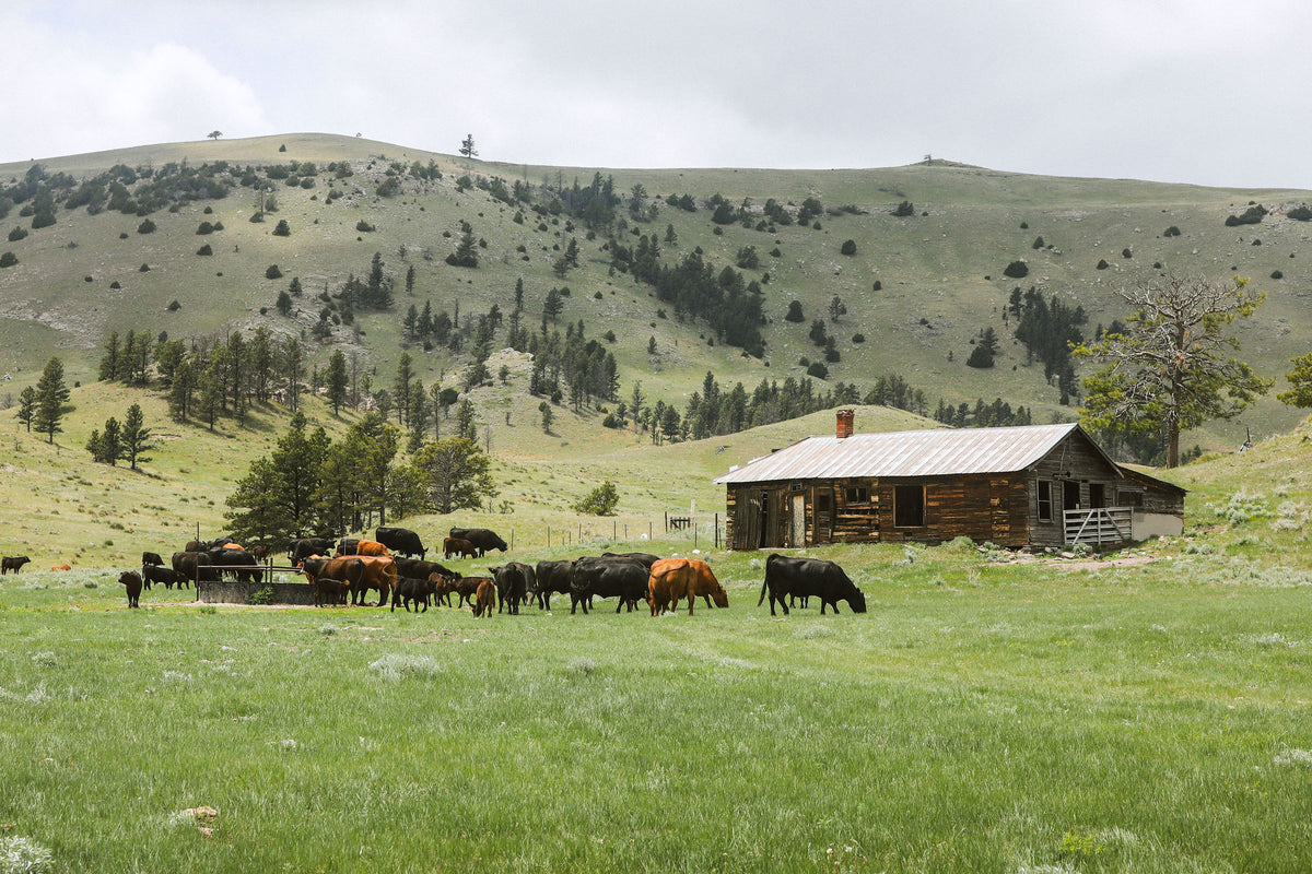 Meriwether Farms | Experience the flavor of Wyoming – MERIWETHER FARMS